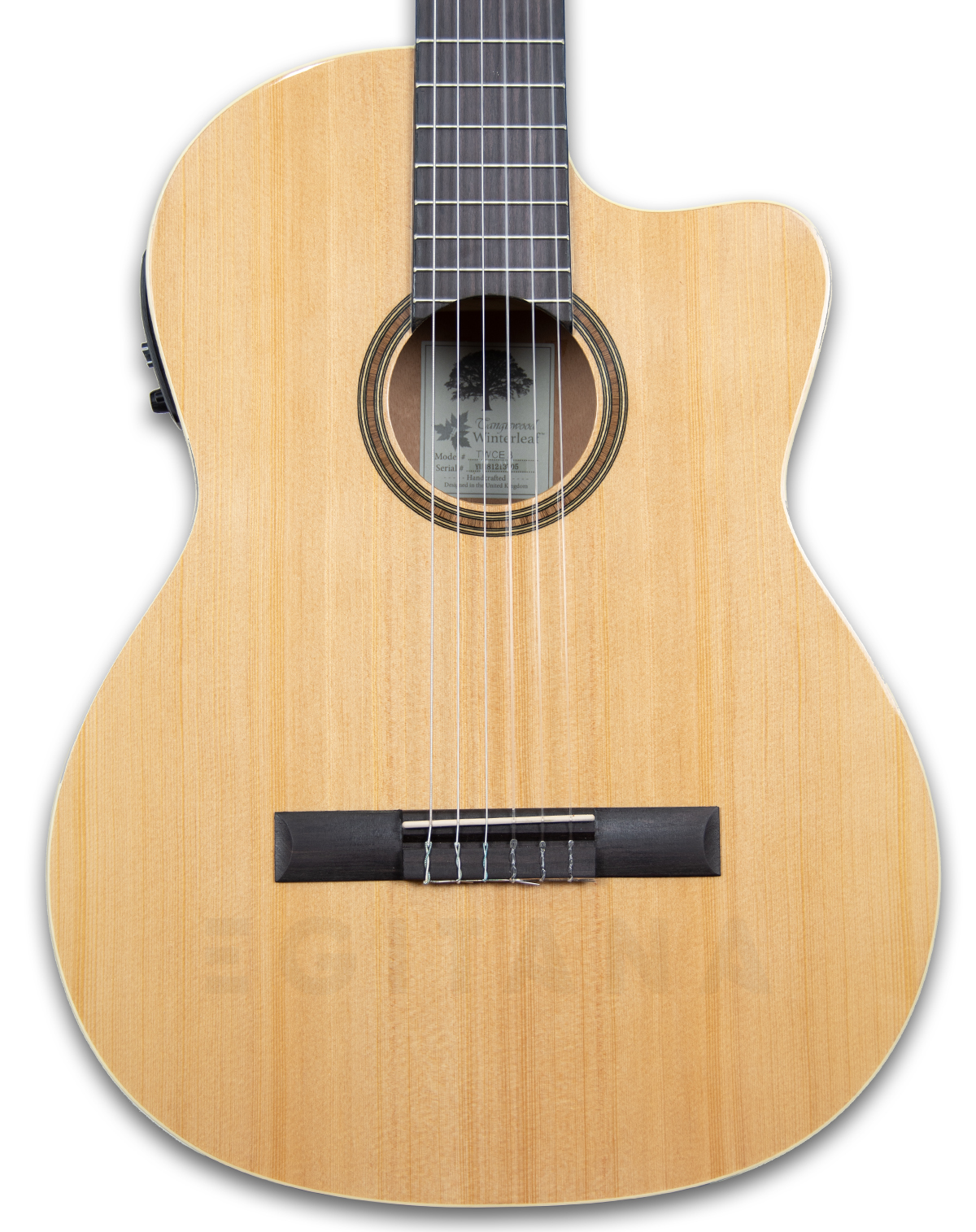 tanglewood-twc-e3_6011446ef2f7d.jpg