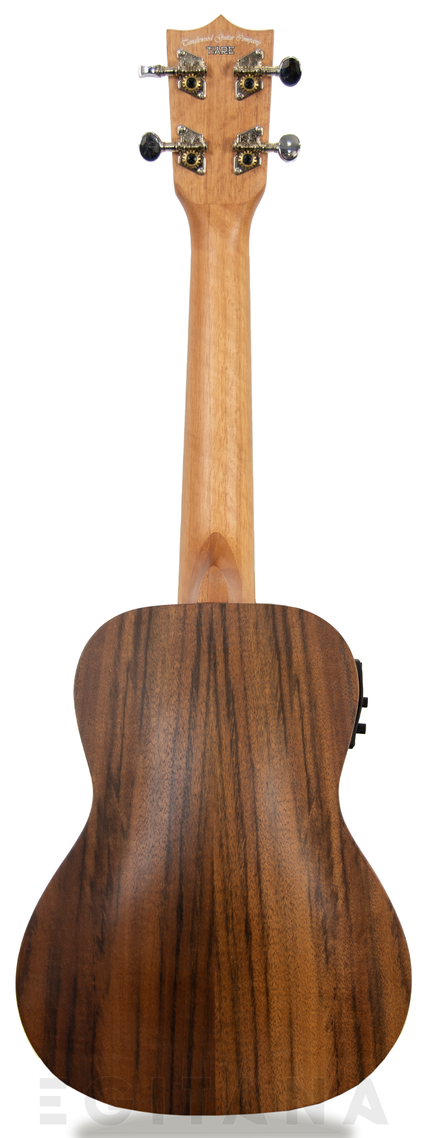 tanglewood-twt-9-e_605e27ce91088.jpg