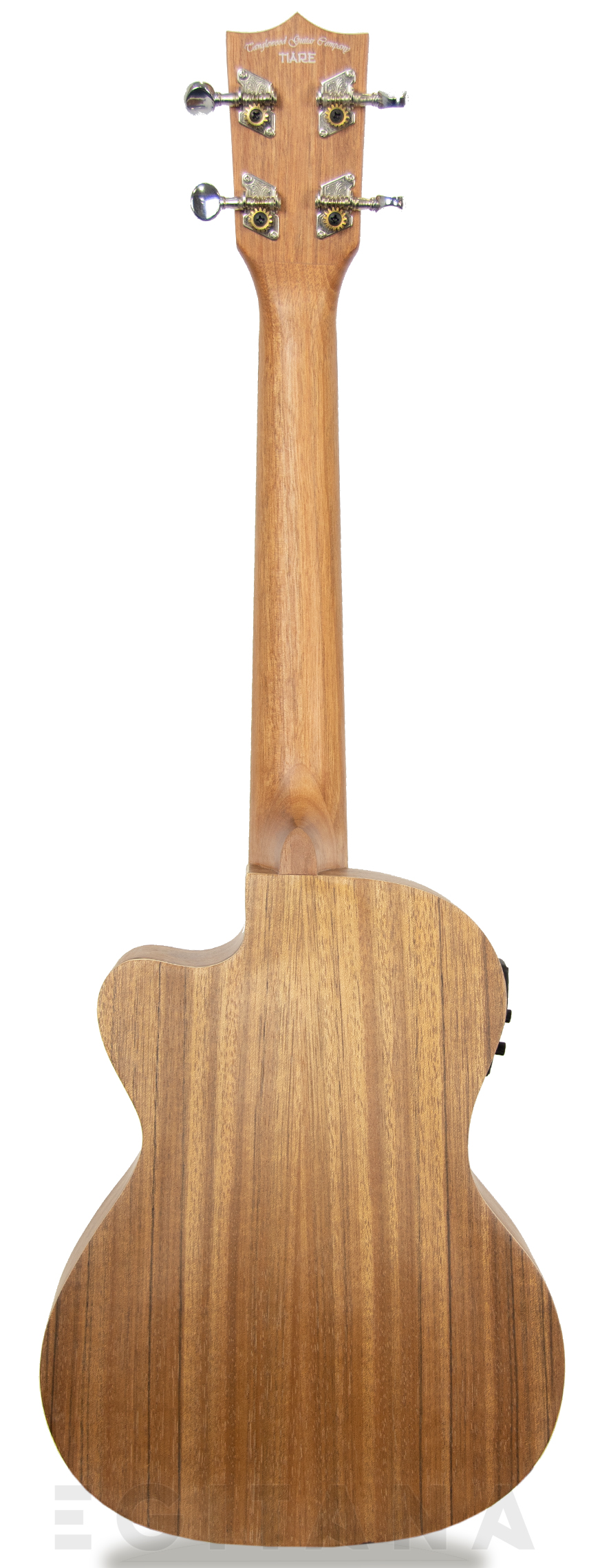 tanglewood-twt14e_605dcd64d06e3.jpg