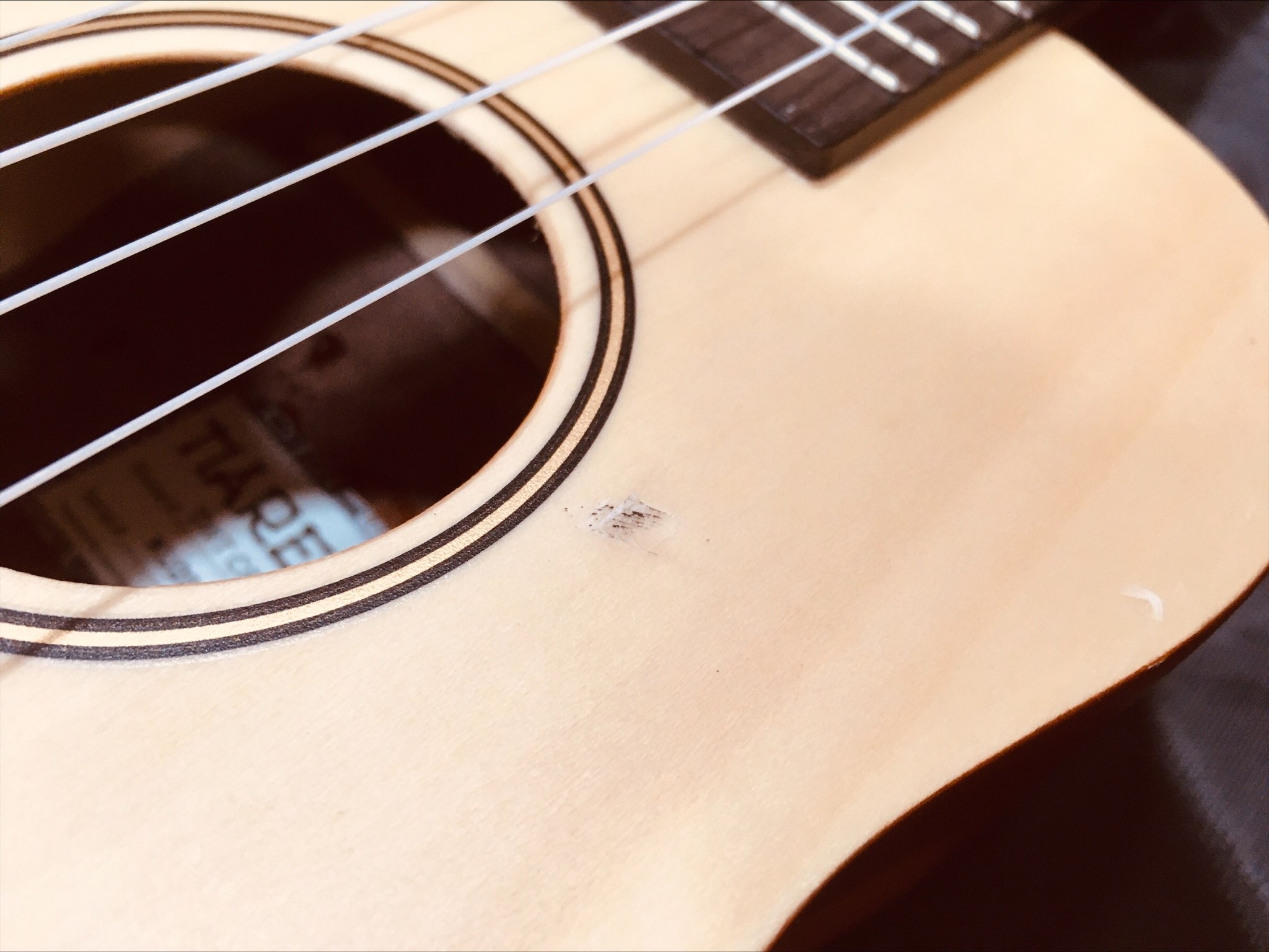 tanglewood-twtcp-na-b-stock_61bb45ebd2ed5.jpg