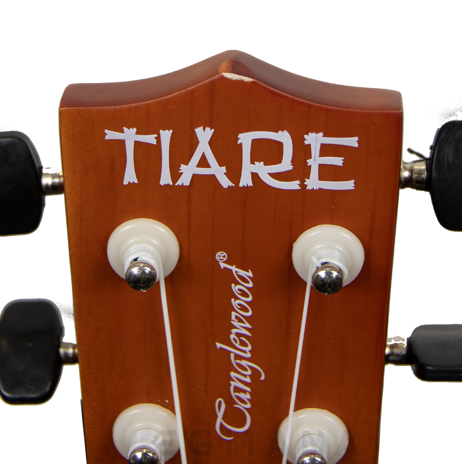 tanglewood-twtcp-na_604a3237bd064.jpg