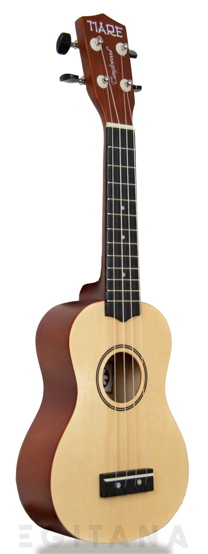 tanglewood-twtsp-na_605b7bfc34b05.jpg