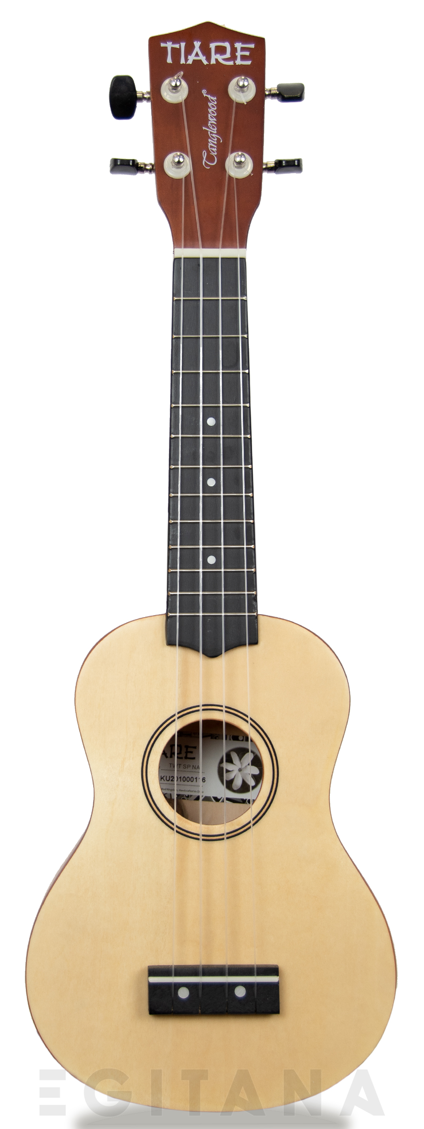 tanglewood-twtsp-na_605b7bfd114f2.jpg