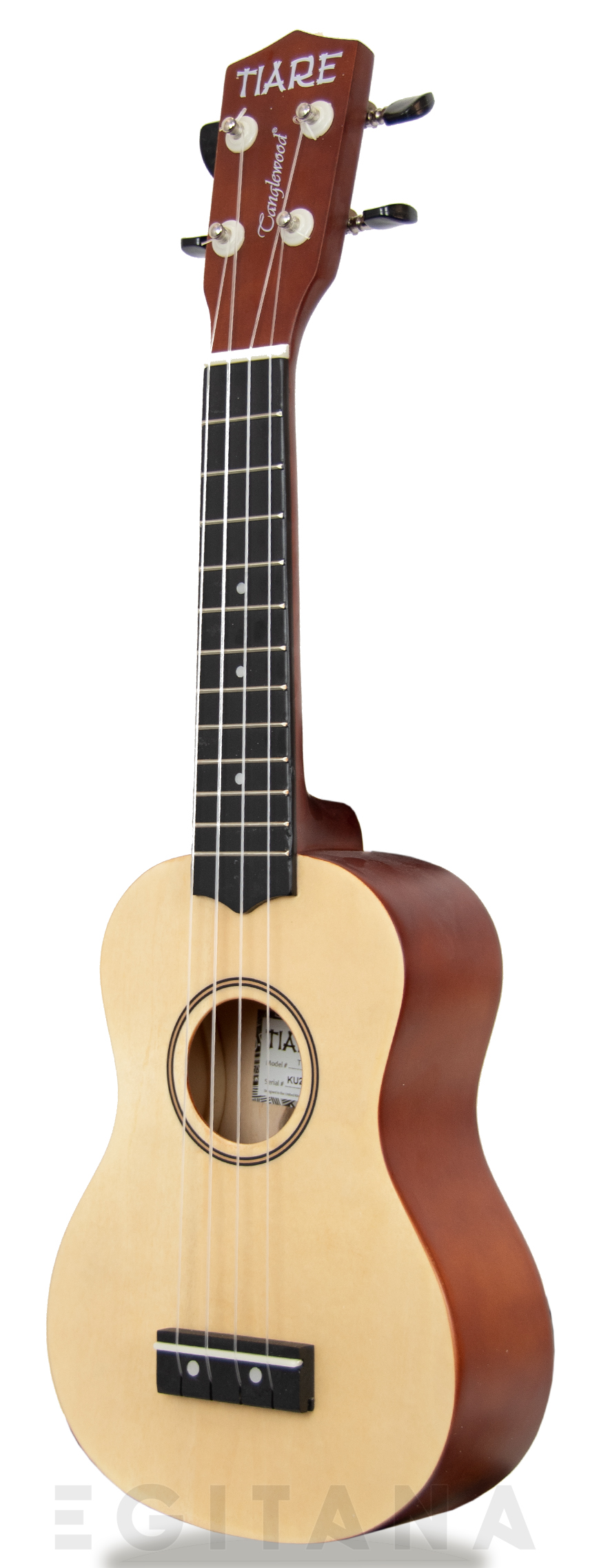tanglewood-twtsp-na_605b7bfde3cff.jpg
