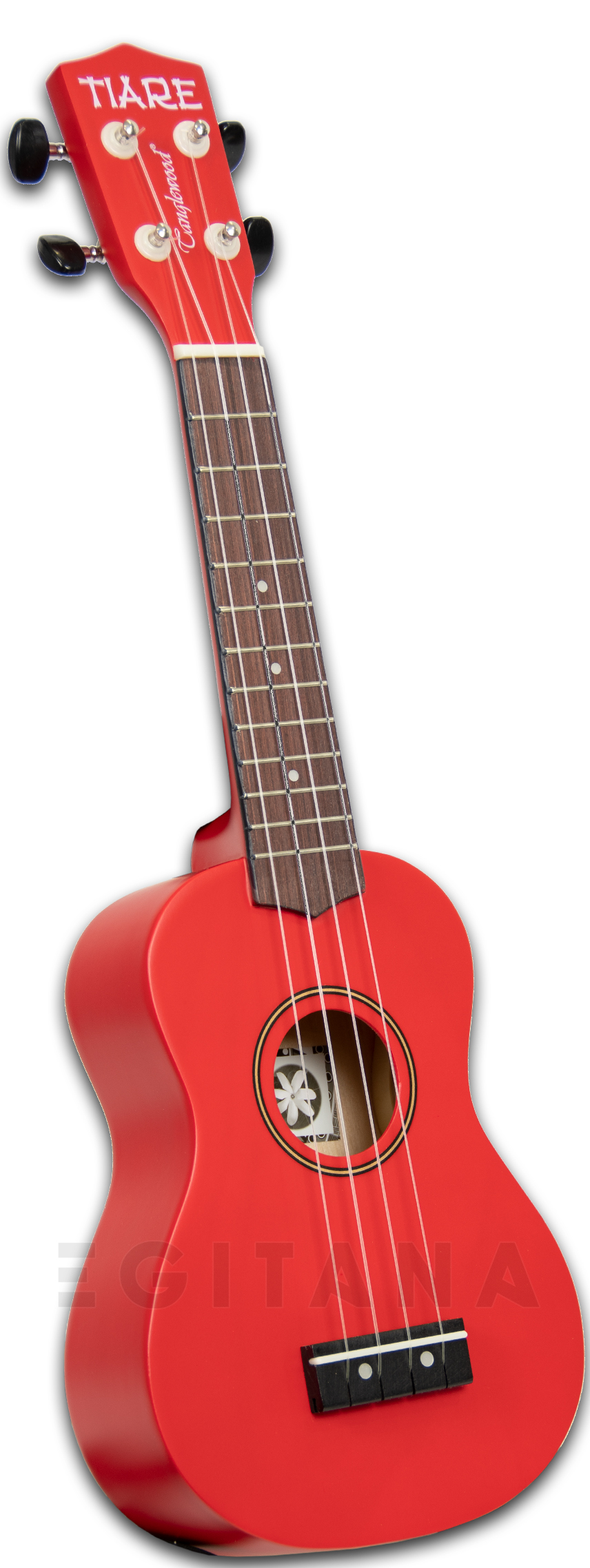 tanglewood-twtsp-wr_600eaaabf275e.jpg