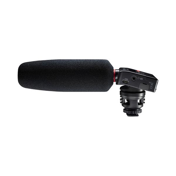 tascam-dr-10-sg_5fbbfd5346000.jpg