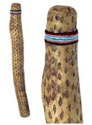 terre-pau-de-chuva-cacto-75-cm_5def7f655517d.jpg