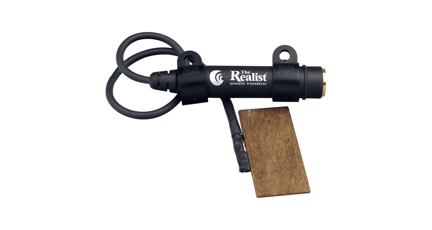 the-realist-bass-naturalist-contrabajo_63ecbb325aa81.png