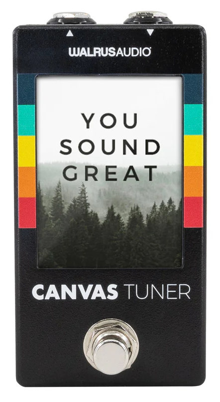 walrus-audio-canvas-tuner_69e60640f315d.jpg