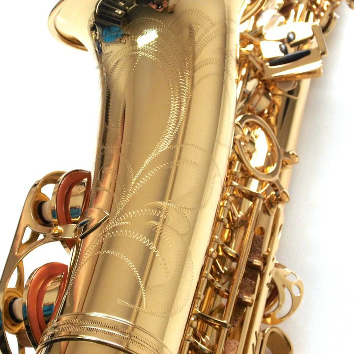 wisemann-das-350_5bb62a4569157.jpg