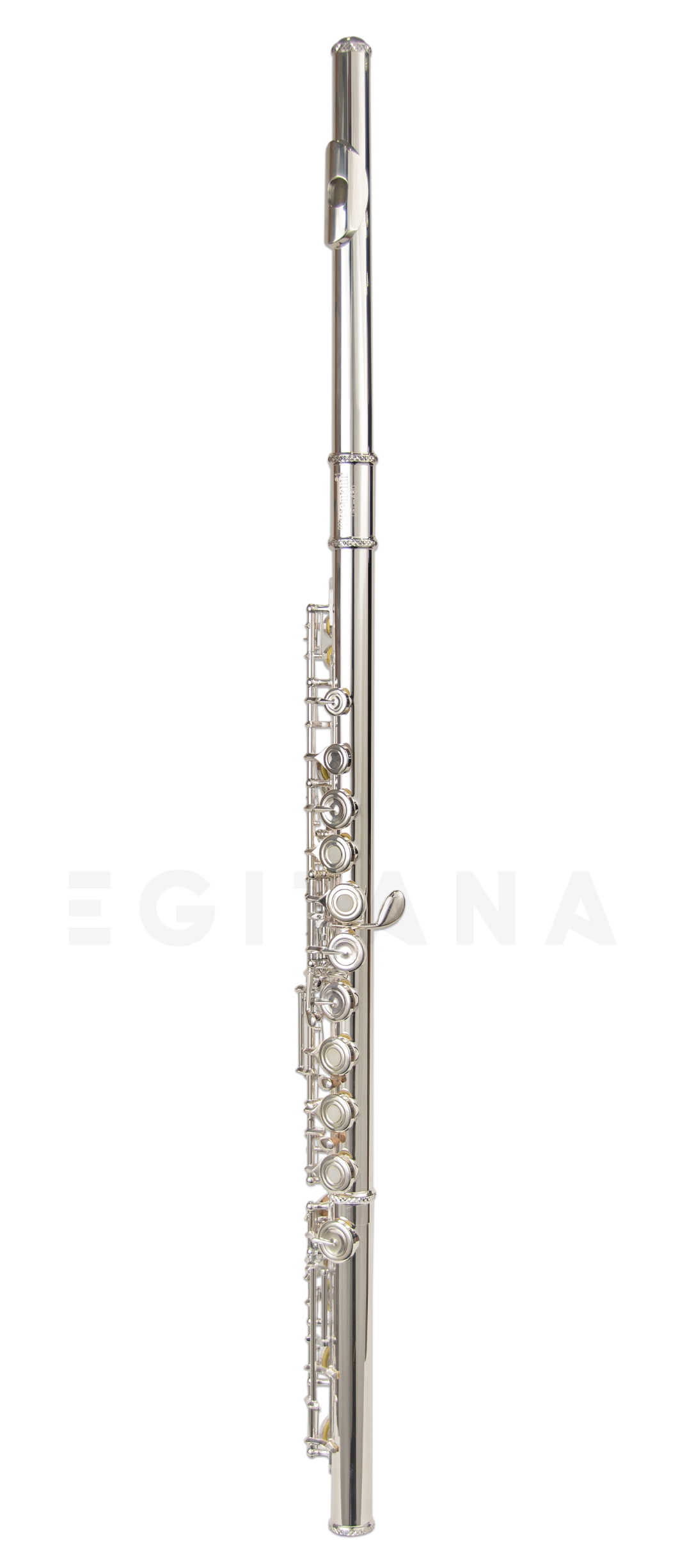 wisemann-dfl-480_63bd4f34bcb80.jpg
