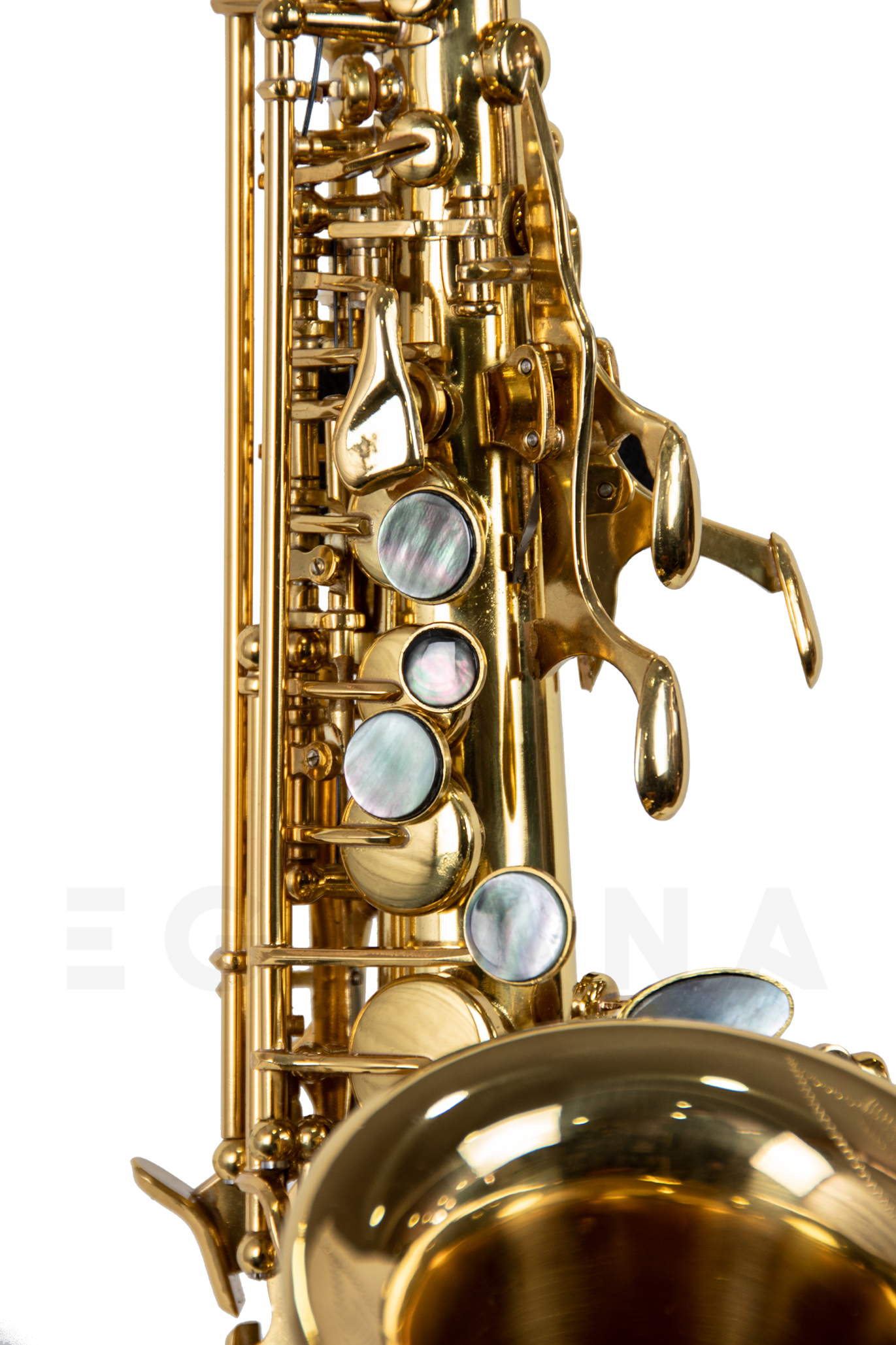 wisemann-dss-c300_6018315c26d30.jpg