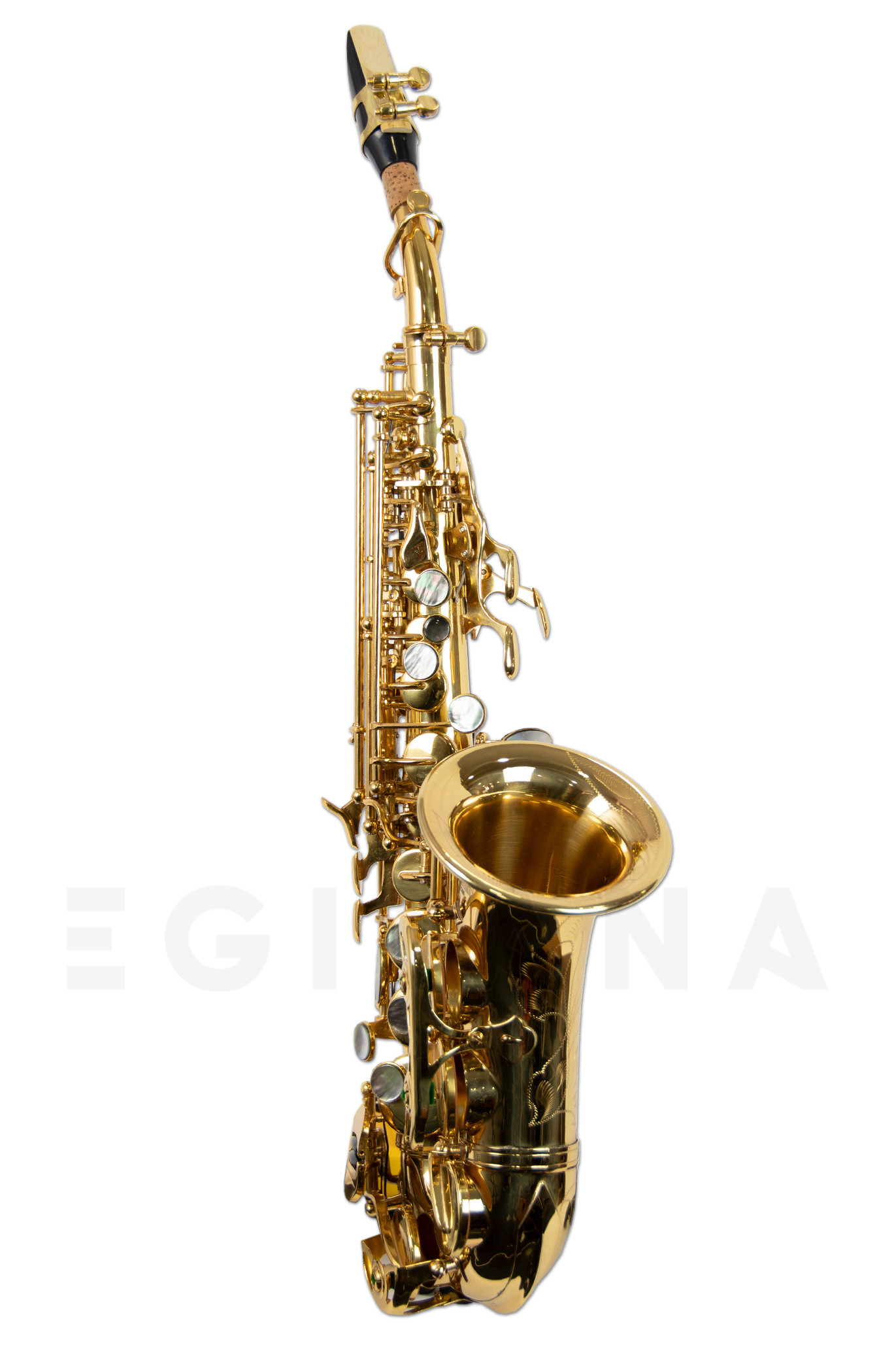 wisemann-dss-c300_603d1b57403d6.jpg