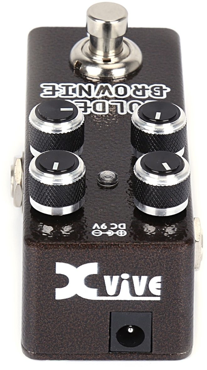 xvive-t1-golden-brownie-thomas-blug_5eda6bad79fe9.jpg