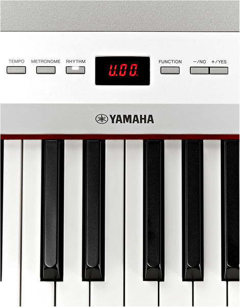 yamaha-p-255b_563ddc84e4fb7.jpg